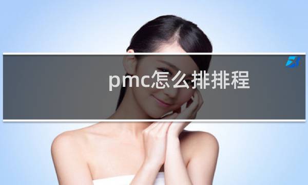 pmc怎么排排程