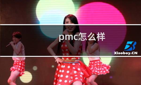 pmc怎么样