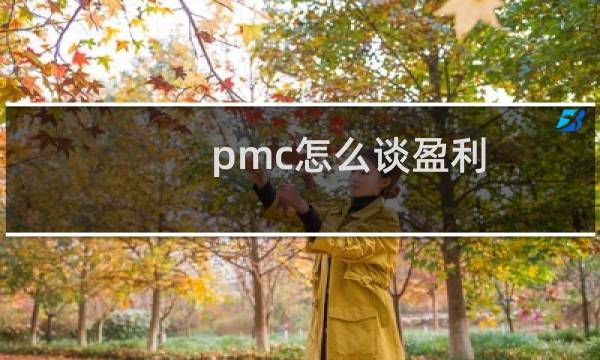 pmc怎么谈盈利
