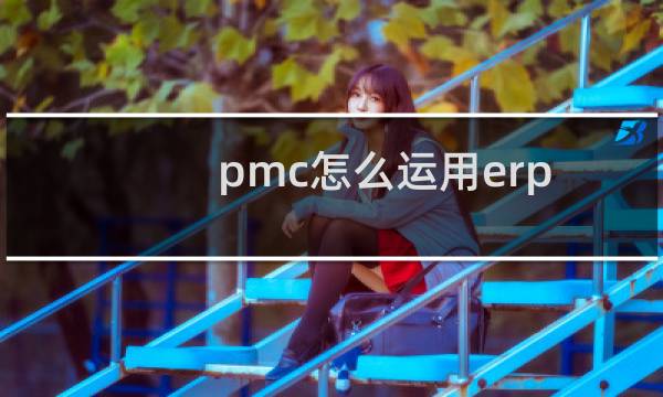 pmc怎么运用erp