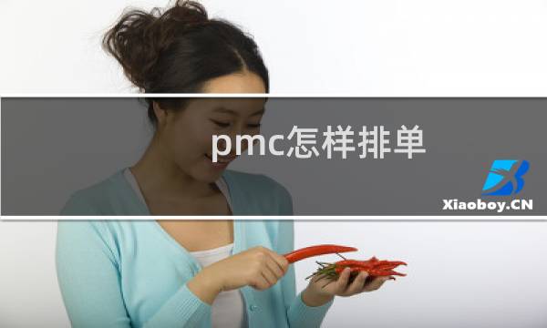 pmc怎样排单