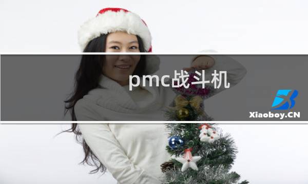 pmc战斗机