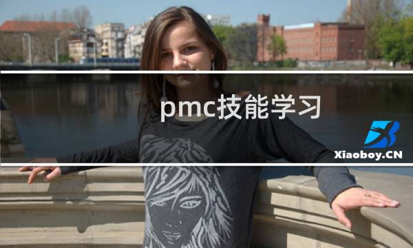 pmc技能学习