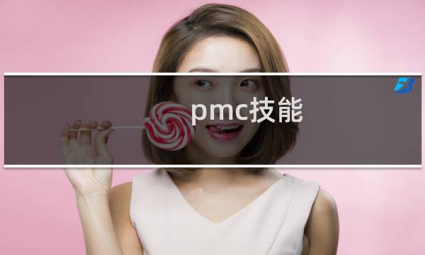 pmc技能