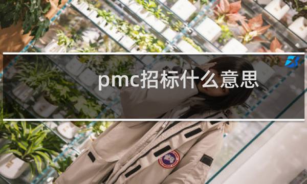 pmc招标什么意思