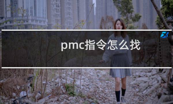 pmc指令怎么找
