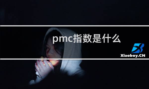 pmc指数是什么