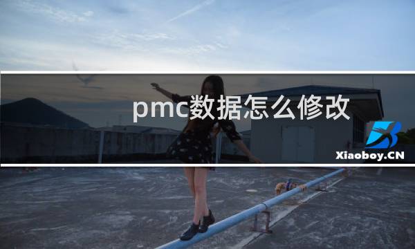 pmc数据怎么修改