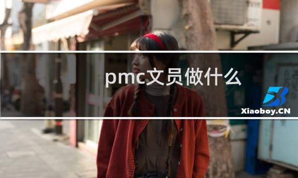 pmc文员做什么