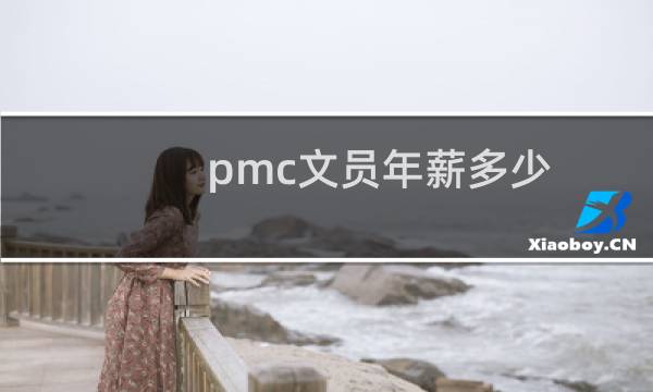 pmc文员年薪多少