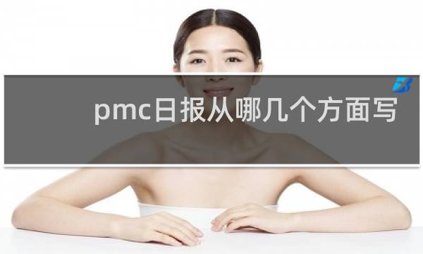 pmc日报从哪几个方面写