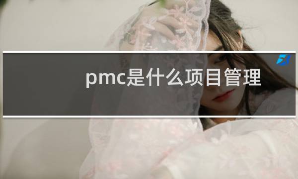 pmc是什么项目管理