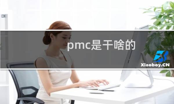 pmc是干啥的