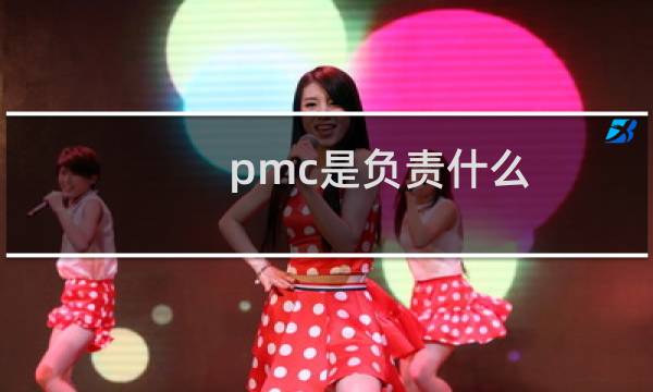pmc是负责什么