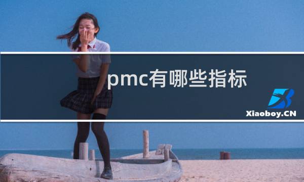 pmc有哪些指标
