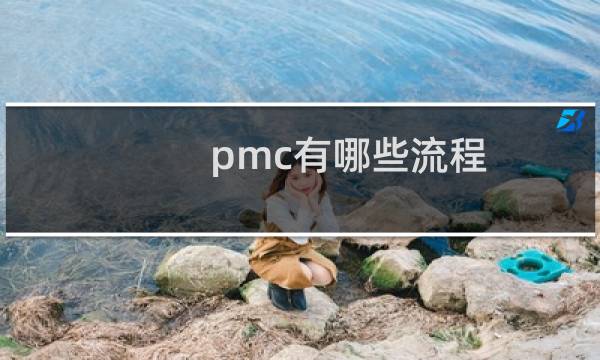 pmc有哪些流程