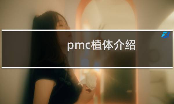 pmc植体介绍
