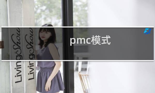 pmc模式 决算
