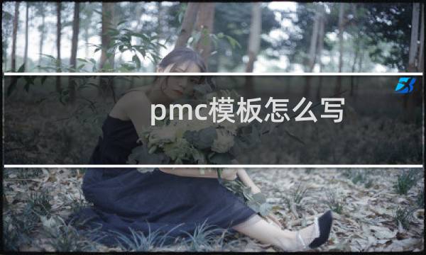 pmc模板怎么写