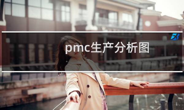 pmc生产分析图