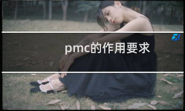 pmc的作用要求