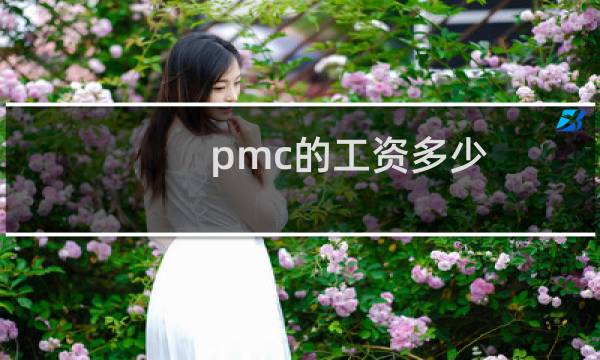 pmc的工资多少