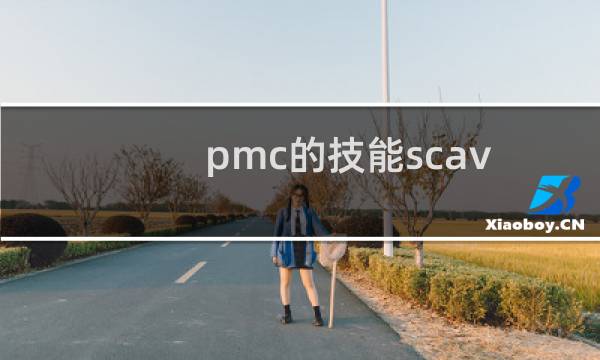 pmc的技能scav