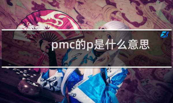 pmc的p是什么意思