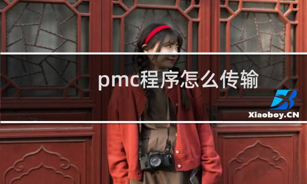 pmc程序怎么传输
