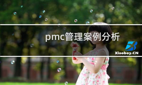 pmc管理案例分析
