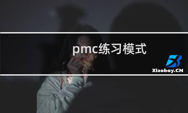 pmc练习模式