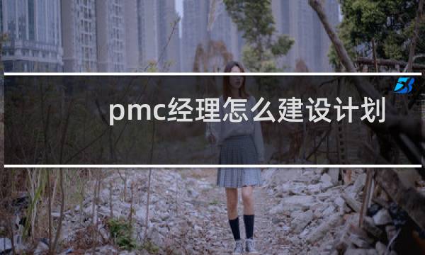 pmc经理怎么建设计划