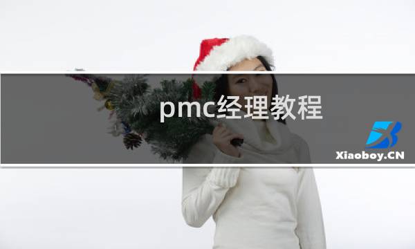 pmc经理教程