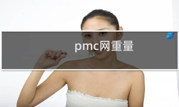 pmc网重量