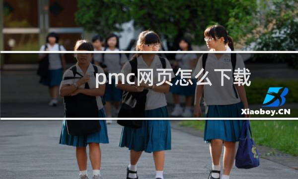 pmc网页怎么下载