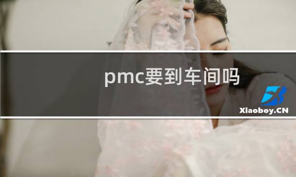 pmc要到车间吗