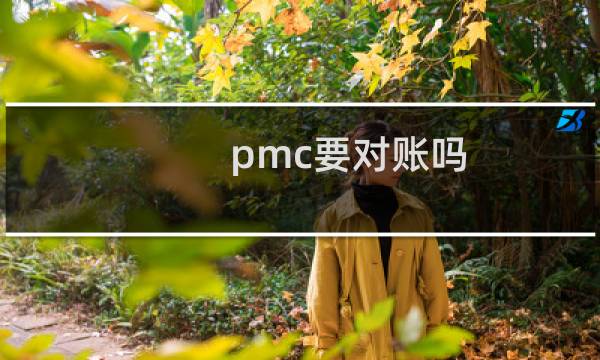 pmc要对账吗