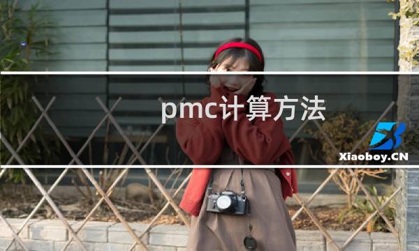 pmc计算方法