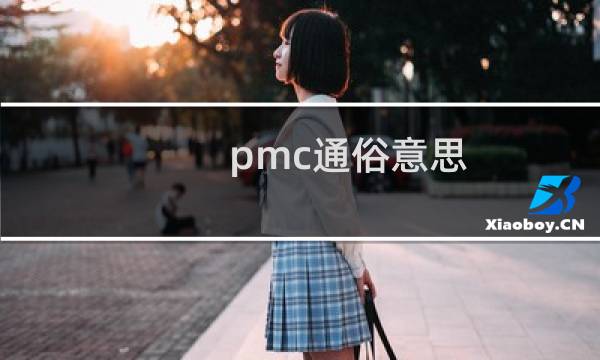 pmc通俗意思