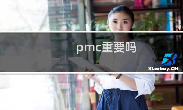 pmc重要吗