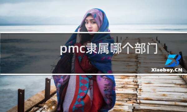 pmc隶属哪个部门