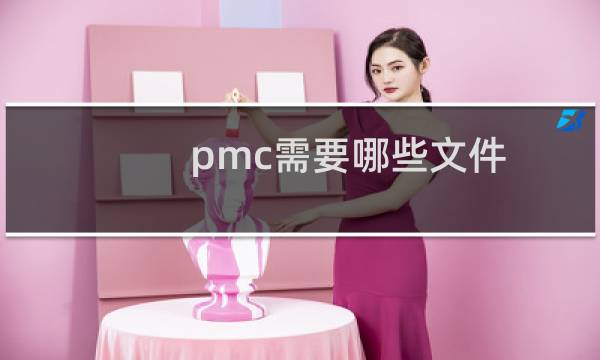 pmc需要哪些文件