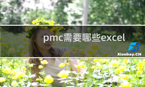 pmc需要哪些excel