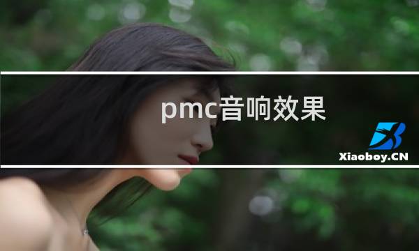 pmc音响效果