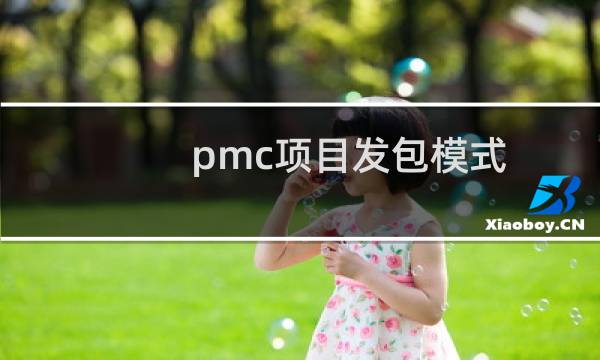 pmc项目发包模式