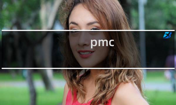pmc-cw401好吗