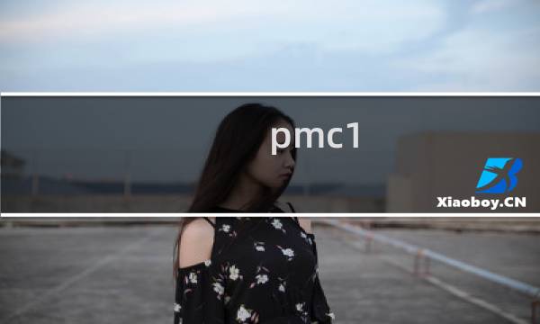 pmc1.71好吗