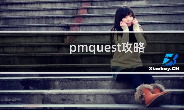 pmquest攻略