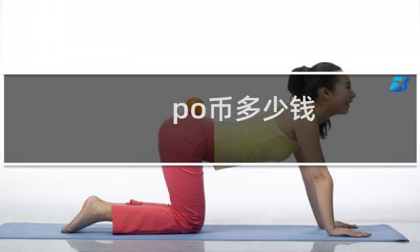 po币多少钱