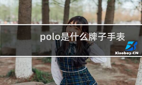 polo是什么牌子手表